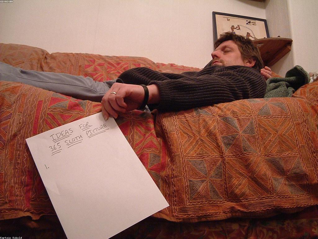 ការបកស្រាយស្លុត: សត្វស្លុតនិងការរស់នៅរបស់វា