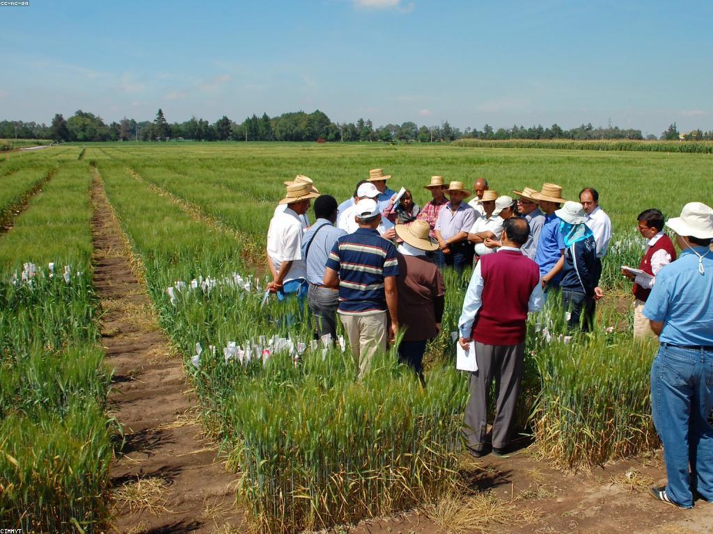 យុទ្ធសាស្ត្រការលេង: ការប្រកួតប្រជែងលើកម្រិតខ្ពស់