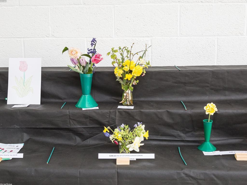 ឱកាសប្រាក់ឥតគិតថ្លៃនៅឆ្នាំ ២០២៤